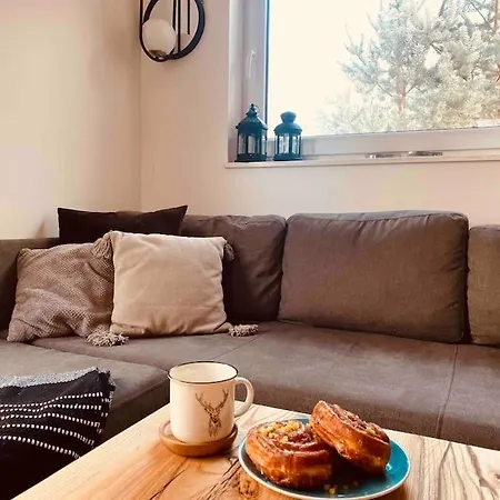 Tatil Evi Badziagowka - Domek W Lesie Na Kaszubach *
