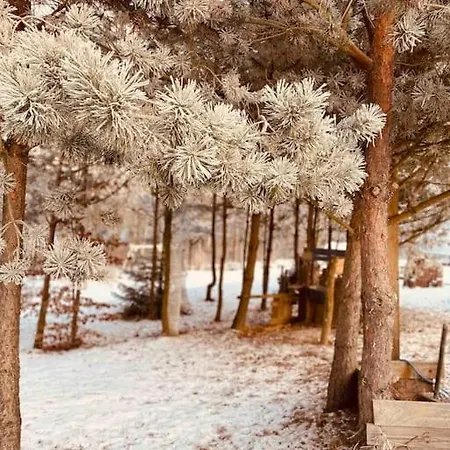 Badziagowka - Domek W Lesie Na Kaszubach Tatil Evi