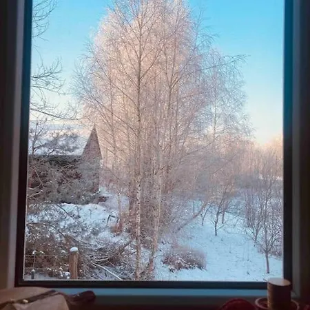 Badziagowka - Domek W Lesie Na Kaszubach Tatil Evi Liniewko