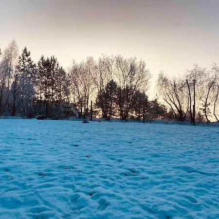 Badziagowka - Domek W Lesie Na Kaszubach Tatil Evi Liniewko