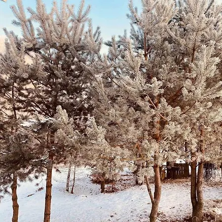 Badziagowka - Domek W Lesie Na Kaszubach Tatil Evi *